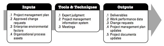 figure 28  inputs, tools & techniques, outputs to direct and manage project work.jpg
